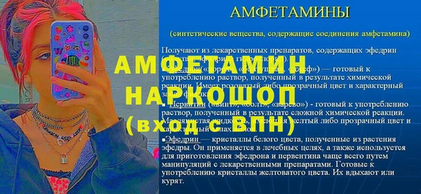 сатива Балахна