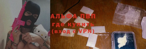 сатива Балахна