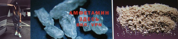 сатива Балахна