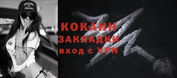 сатива Балахна