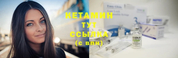 сатива Балахна