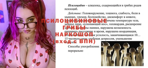сатива Балахна