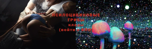 сатива Балахна