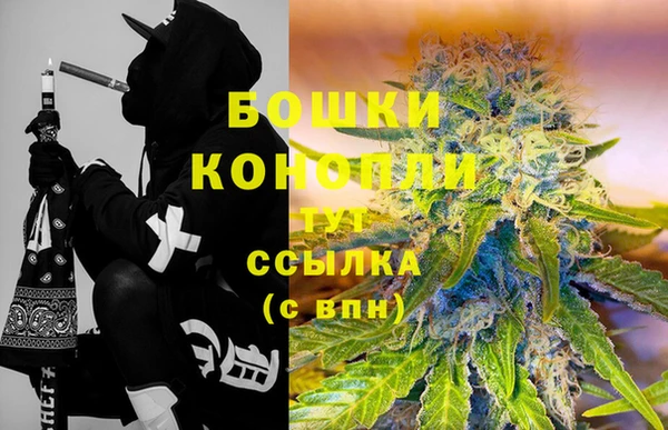 сатива Балахна