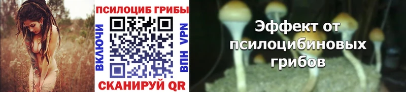 магазин продажи Кубинка Галлюциногенные грибы Psilocybine cubensis